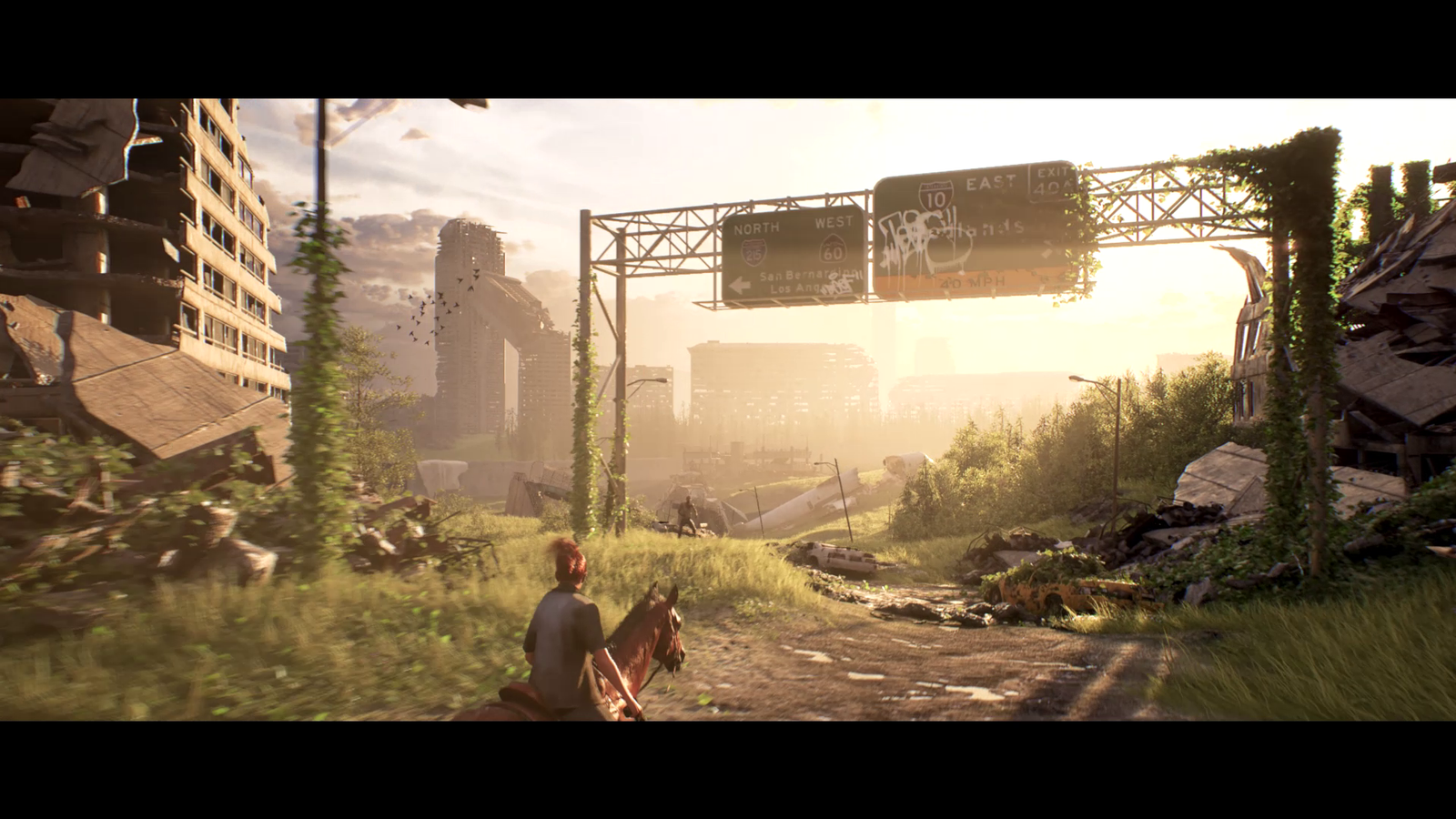 Last of us (env)
